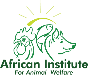 footer-logo